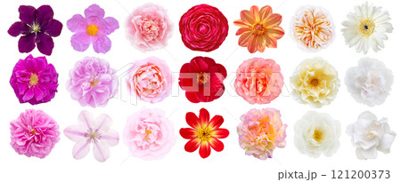 Flowers set top view isolated on white background Flowers set top view isolated on white background 121200373