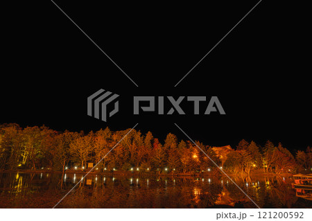 茶臼山高原の色付き始めの紅葉のライトアップと水面に映る樹木の矢筈池(愛知県) 121200592