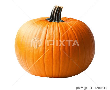 Bright orange pumpkin on a white background, ideal for autumn decorations or cooking 121200819