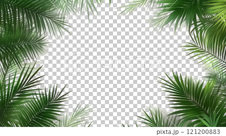 Lush green palm leaves create a tropical frame against a light background for design purposes 121200883