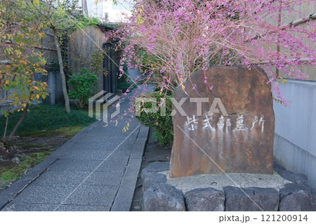 ムラサキシキブの実と紫式部墓所の石碑 121200914