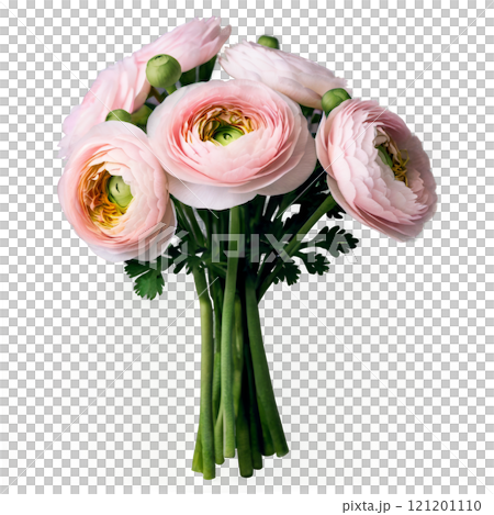 Pastel ranunculus bouquet in a clear vase on a white background 121201110
