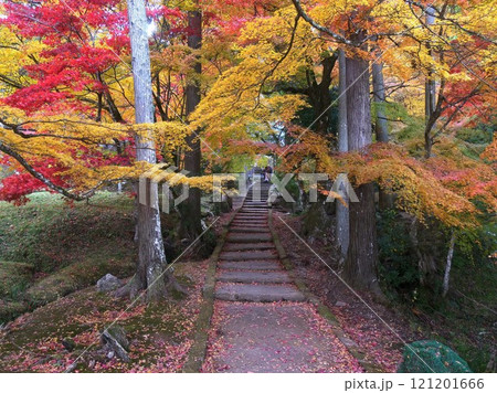 龍穏寺の紅葉　京都南丹市 121201666