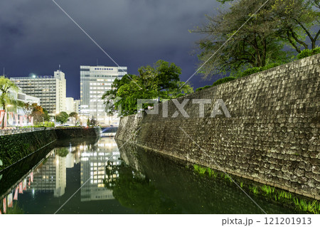 静岡　駿府城二ノ丸堀と静岡市立静岡病院　静岡県静岡市 121201913