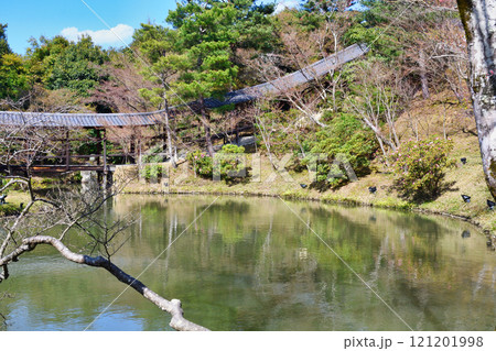 京都　高台寺　臥龍廊と臥龍池（京都府京都市東山区） 121201998