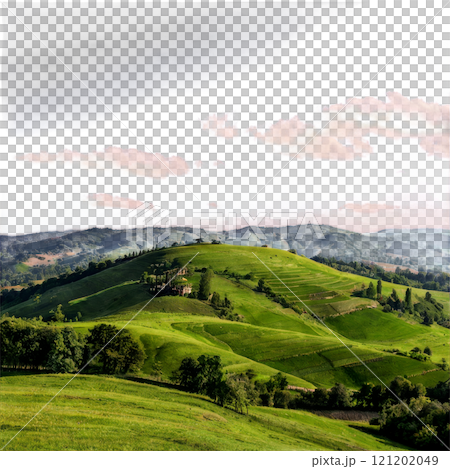 Rolling green hills under a cloudy sky in a serene rural landscape during early morning 121202049
