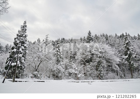 冬の山(新潟県) 冬の山(新潟県) 121202265