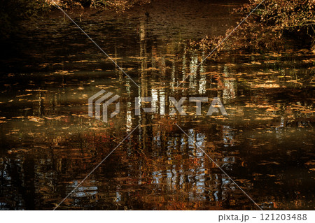 紅葉 紅葉 121203488