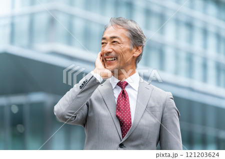 ビジネス シニア男性 ポートレート ビジネス シニア男性 ポートレート 121203624