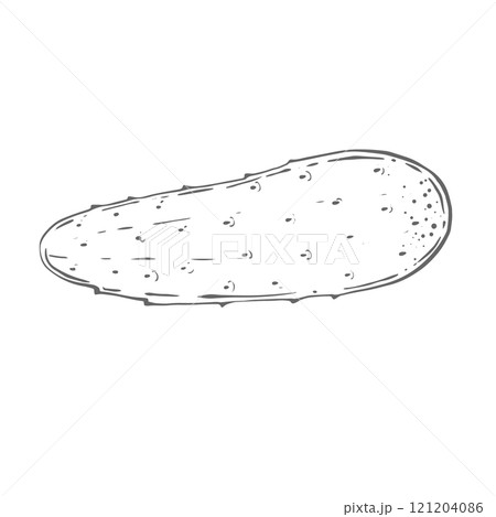 Green fresh cucumber, whole, small 121204086