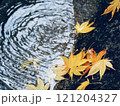 水に浮かぶ紅葉 121204327