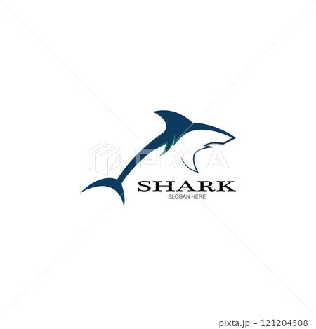 Shark Logo vector Template 121204508