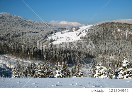 Winter landscape with spruse trees of snow covered forest in cold mountains. Winter landscape with spruse trees of snow covered forest in cold mountains. 121204942