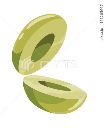 Olives green fruits. Vegan organic natural product. Vector drawing plant isolated on white background 121205667
