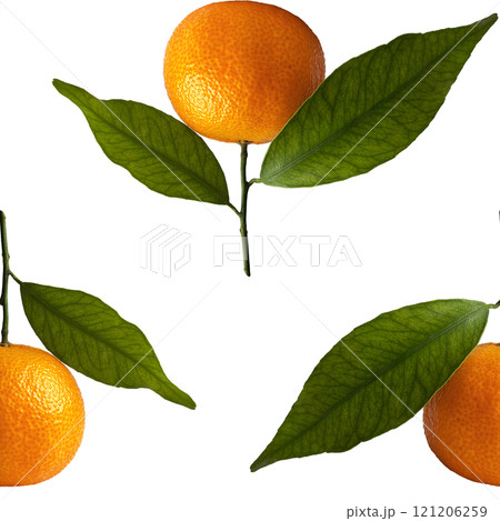 Clementine or mandarin or orange natural. Seamless pattern on white background. Single fruit with green leaves. Clementine or mandarin or orange natural. Seamless pattern on white background. Single fruit with green leaves. 121206259