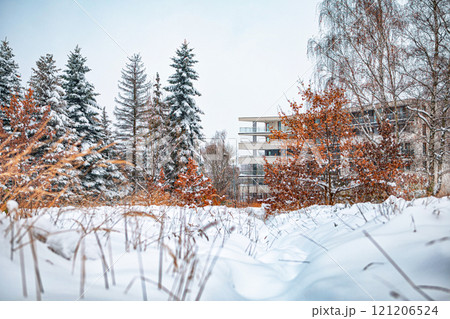 winter landscape in the city 121206524