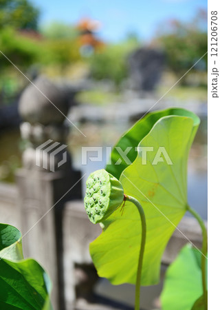 鳥取県東伯郡　中国庭園　燕趙園 121206708