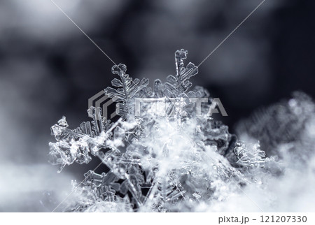 natural snowflakes on snow, winter 121207330