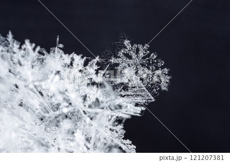 natural snowflakes on snow, winter natural snowflakes on snow, winter 121207381