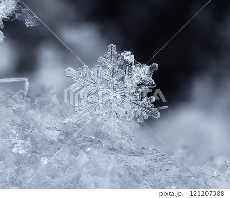 natural snowflakes on snow, winter natural snowflakes on snow, winter 121207388