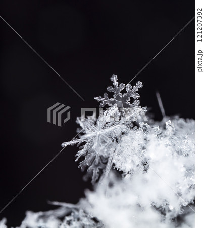 natural snowflakes on snow, winter 121207392