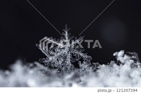 natural snowflakes on snow, winter 121207394