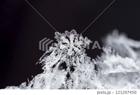 natural snowflakes on snow. the picture is made at a temperature of-10 C  121207450