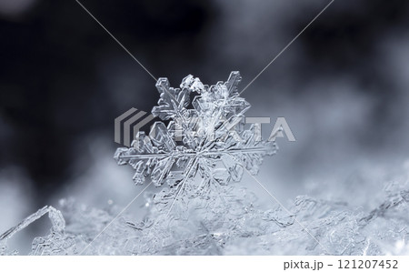 natural snowflakes on snow. the picture is made at a temperature of-10 C  121207452