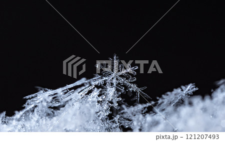 natural snowflakes on snow. the picture is made at a temperature of-10 C  121207493