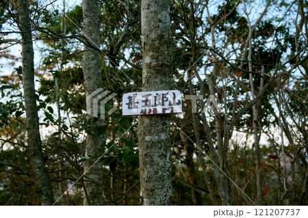 甚五郎山の山頂 甚五郎山の山頂 121207737