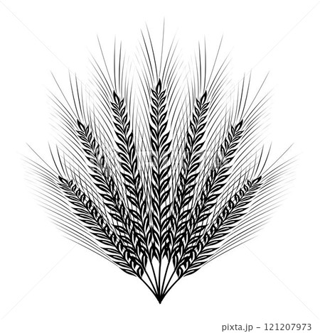 Circle formed by ears of wheat isolated on a white background simulating a radiant sun Circle formed by ears of wheat isolated on a white background simulating a radiant sun 121207973