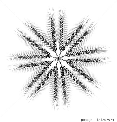 Circle formed by ears of wheat isolated on a white background simulating a radiant sun Circle formed by ears of wheat isolated on a white background simulating a radiant sun 121207974