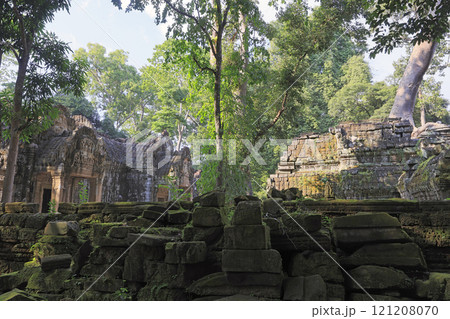 Ta Prohm temple, part of the Angkor Wat complex, Seam Reap, Cambodia 121208070