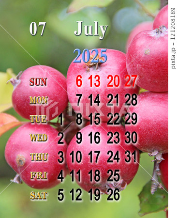 Calendar for July with photo of ripe apples on branch. Calendars for printing 121208189