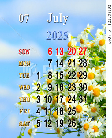Calendar for July 2025 with photo of blooming flowers of chamomiles in field. 121208192