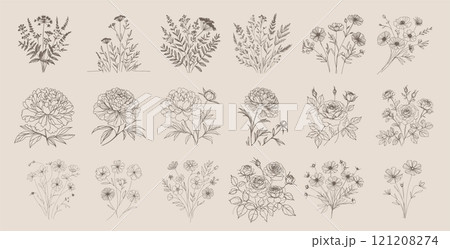 Autumn botanical line drawing set, hand drawn fall flower bouquets, line drawing vector illustration. Autumn botanical line drawing set, hand drawn fall flower bouquets, line drawing vector illustration. 121208274