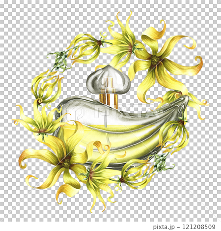 A perfume bottle made of transparent glass with ylang-ylang or kanaga flowers. Vintage yellow perfume.A hand-drawn watercolor illustration. For packaging, postcards and labels, flyers and posters. A perfume bottle made of transparent glass with ylang-ylang or kanaga flowers. Vintage yellow perfume.A hand-drawn watercolor illustration. For packaging, postcards and labels, flyers and posters. 121208509
