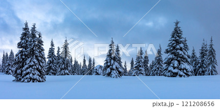 Snowy winter landscape panorama with snowy trees Snowy winter landscape panorama with snowy trees 121208656
