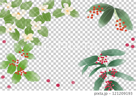 唐橘（カラタチバナ）の花のカード 121209193