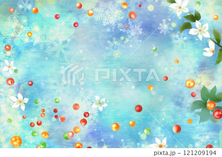 冬珊瑚(フユサンゴ)のカード1 冬珊瑚(フユサンゴ)のカード1 121209194