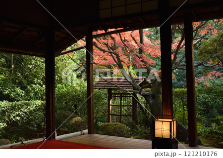 妙心寺塔頭 秋の桂春院 書院から見る侘の庭 妙心寺塔頭 秋の桂春院 書院から見る侘の庭 121210176