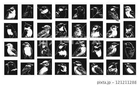 Various Birds Portraits In Squares Ink Style Vector Illustrations Unique Artwork Creative Design Decorative Elements Artistic Visuals Modern Graphics Distinctive Art Style Animal 121211288