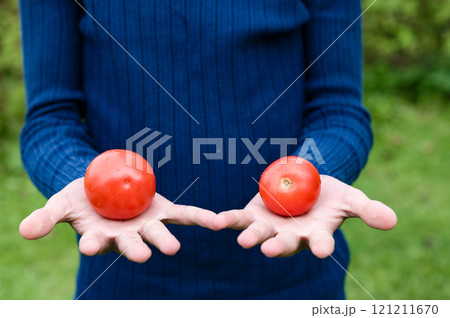 Two ripe tomatoes held in outstretched hands. Two ripe tomatoes held in outstretched hands. 121211670