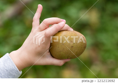 Hand holding a ripe fruit against a blurred green background. 121211692