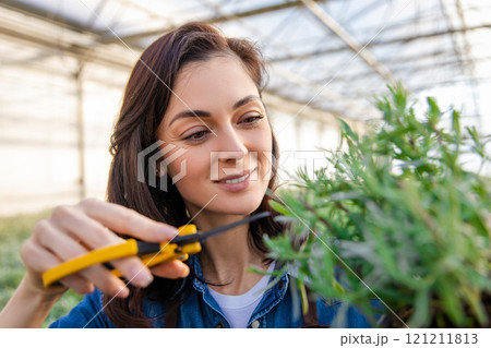Waist up of a young woman cutting plants in a greenhouse 121211813