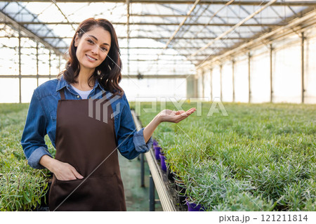 Dark-haired young woman in apron in a greenhouse Dark-haired young woman in apron in a greenhouse 121211814