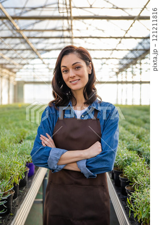 Dark-haired young woman in apron in a greenhouse 121211816