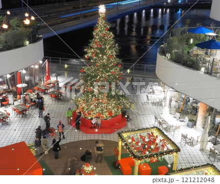 神奈川県 横浜ベイクォーターのクリスマスツリー 12月 神奈川県 横浜ベイクォーターのクリスマスツリー 12月 121212048