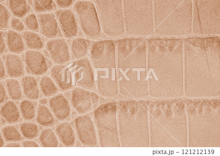 Close-up of crocodile leather with texture and patterns, natural background 121212139