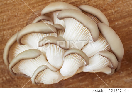 Fresh oyster mushrooms on a wooden surface. Concept of natural food, organic ingredients 121212144